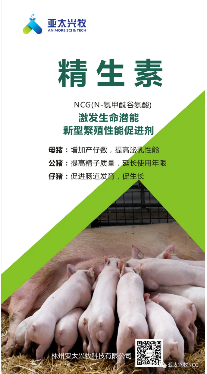 NCG對育肥豬血清及肌肉中氨基酸水平的影響_06