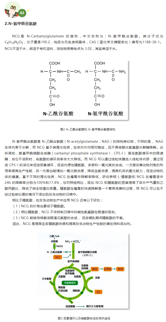 日糧中添加-NCG-對(duì)荷斯坦公牛氮營(yíng)養(yǎng)素利用的影響（下）_02